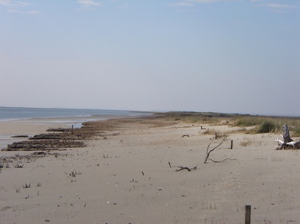 IMGP0055