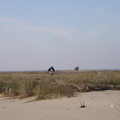IMGP0056