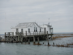 DSCN1770