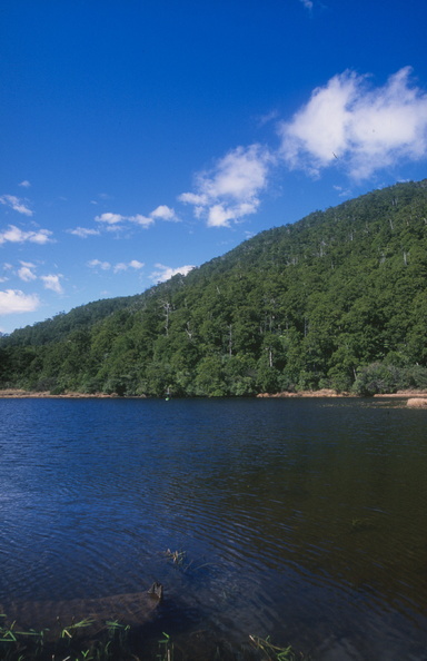 Yang Yuan Lake by Dong kuan Liao 05