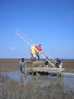 Flux Tower on Fowling Point