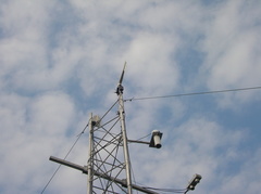 IMGP0839