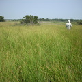 DSCN0246