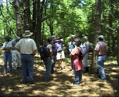 site1