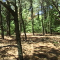 site2
