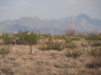 DSCF4470
