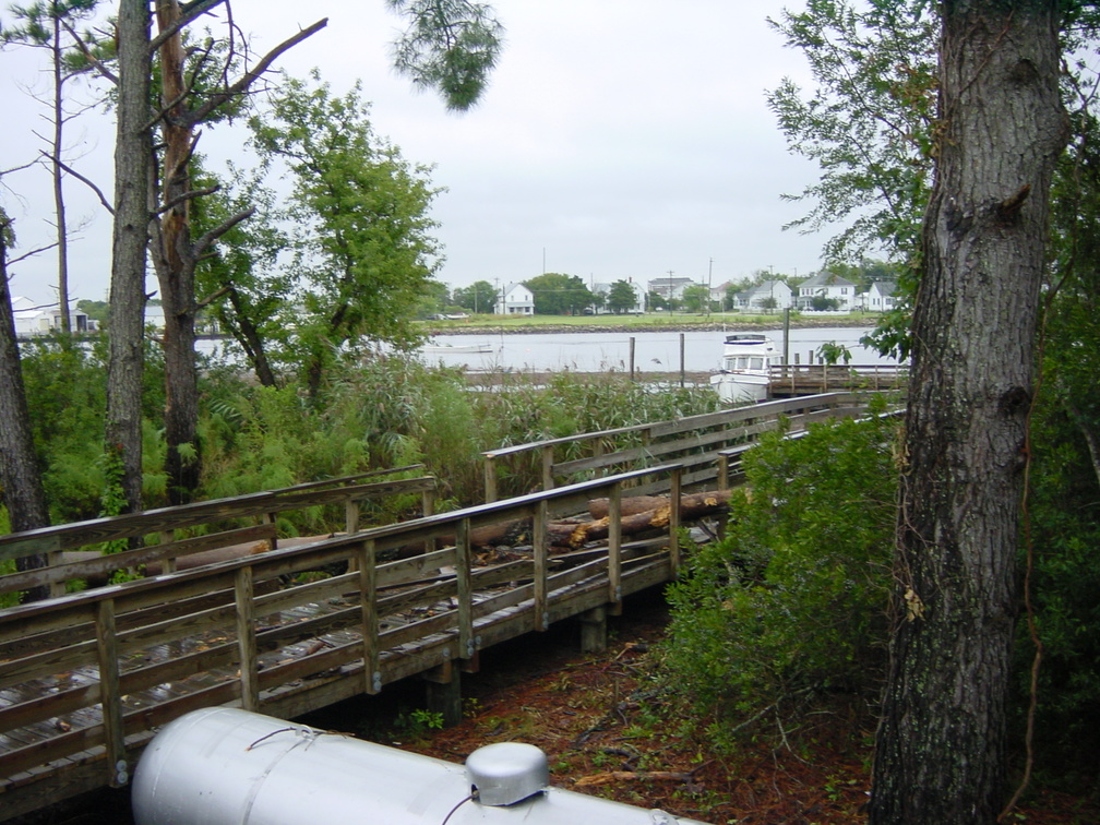 DSC00001 002