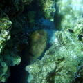 P7130316