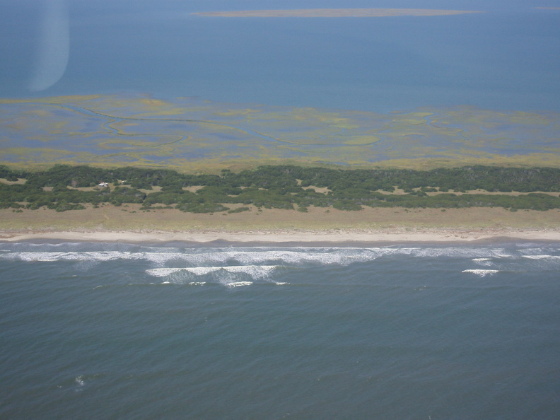 P1010024.jpg
