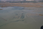 IMG 0687