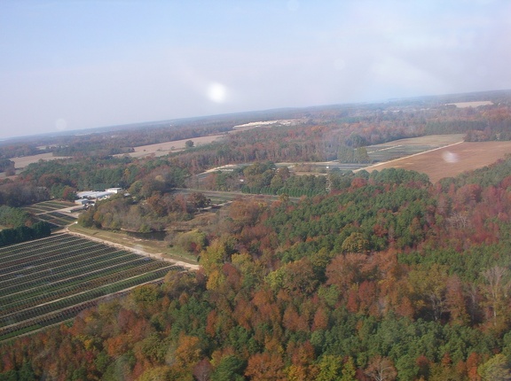IMGP0535