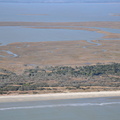 DSC 0241