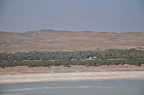 DSC 0259