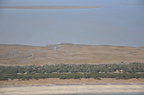 DSC 0260 001
