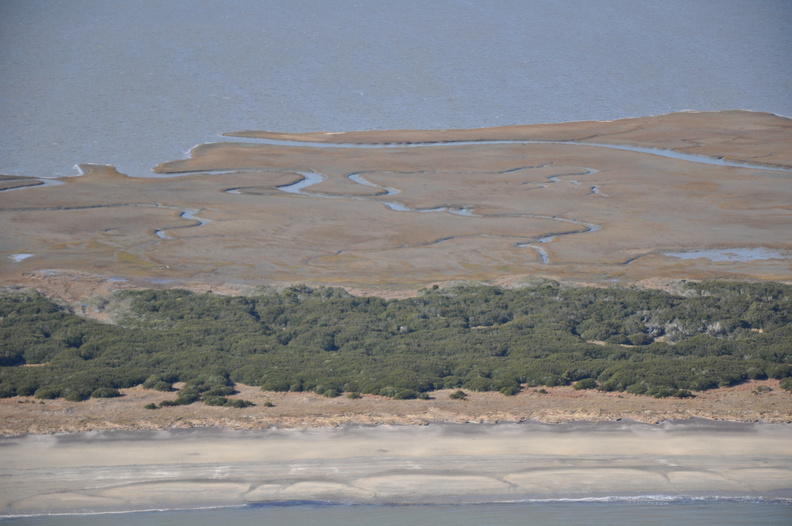 DSC_0266_001.JPG