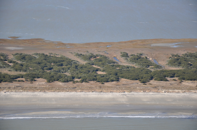 DSC_0293.JPG