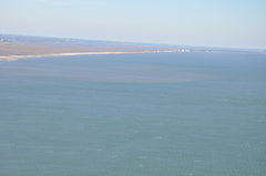 DSC 0011