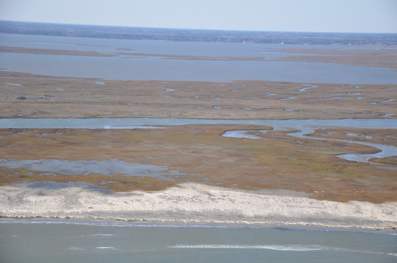 DSC_0181.JPG