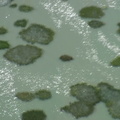 20110831111721 2 