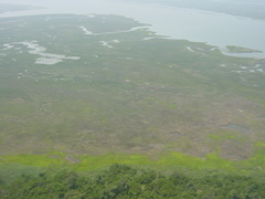 DSC00058
