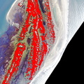 hogisland082201 probe2 remap noblanks northend shrubmodel derived from probe2 overlaid