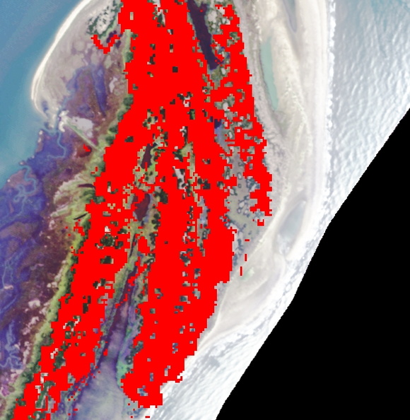 hogisland082201 probe2 remap noblanks with landsatETM shrubmodel overlayed northend