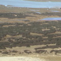 DSC03070