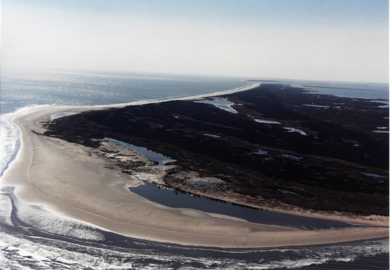 HogIsland031013.jpg