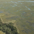 metomkin mainland marsh1