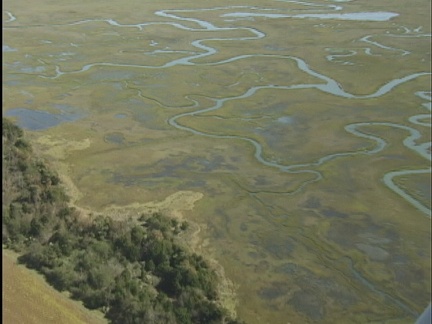 metomkin mainland marsh1