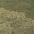 metomkin mainland marsh4