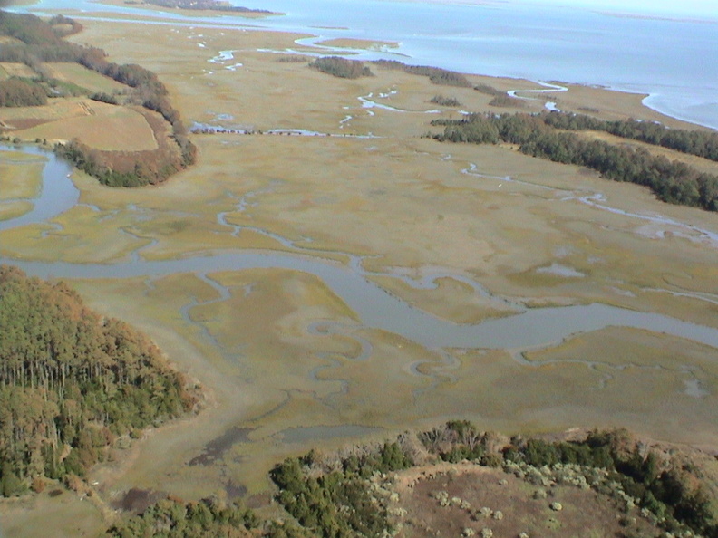 DSC01753 - DSC01753.jpg DSC01753.jpg