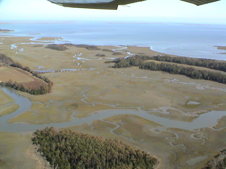 DSC01754 - DSC01754.jpg DSC01754.jpg