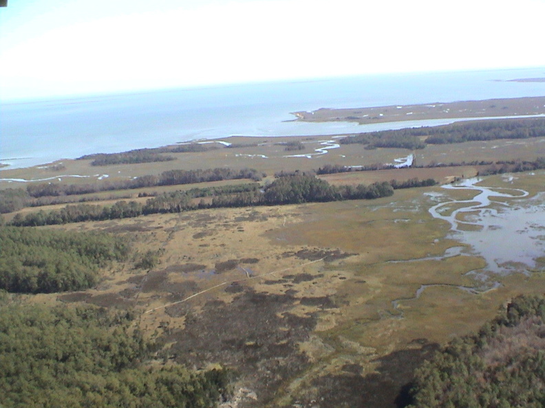DSC01763 - DSC01763.jpg DSC01763.jpg