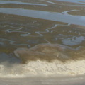 DSC03191