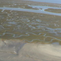 DSC03195