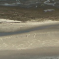 DSC03155