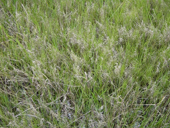 DSC00007