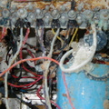 Innards_2.jpg