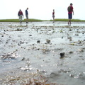 DSC00939