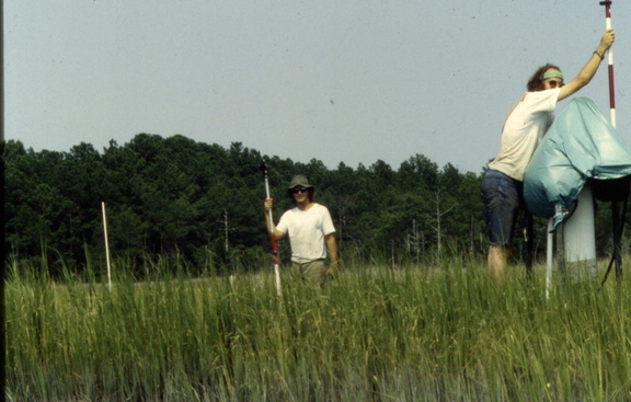 marsh survey