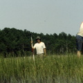 marsh survey