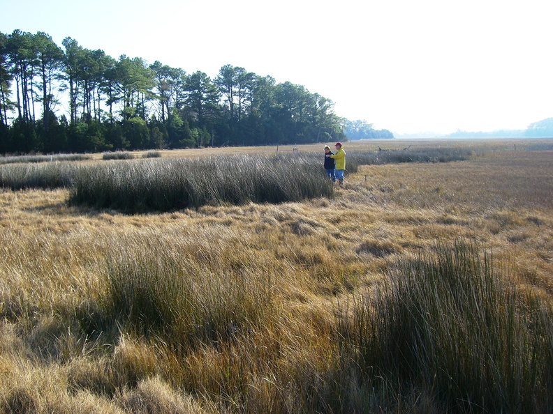 Mid_Winter_Upper_Phillips_Creek_2007_VCR_LTER.jpg