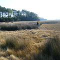 Mid Winter Upper Phillips Creek 2007 VCR LTER