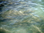 DSCF1552