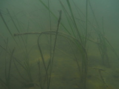 DSCF1566