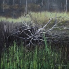 McGowan WhatRemains