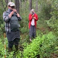 Exploring understory