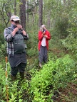 Exploring understory