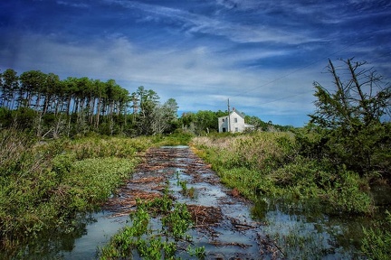 Marsh Henning Tide